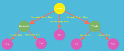 Final Decision Tree